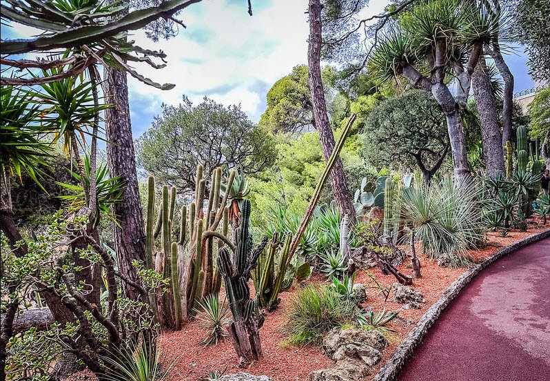 Saint Martin Gardens, Monaco-Ville, Monaco